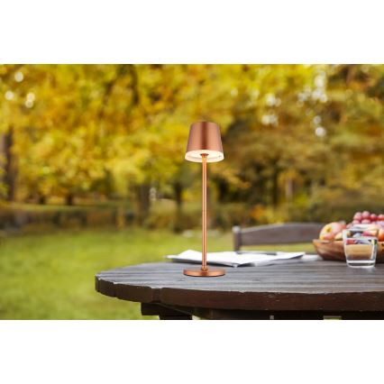 Globo - Iluminação solar LED LED/0,6W/3V 3000K IP44 cobre