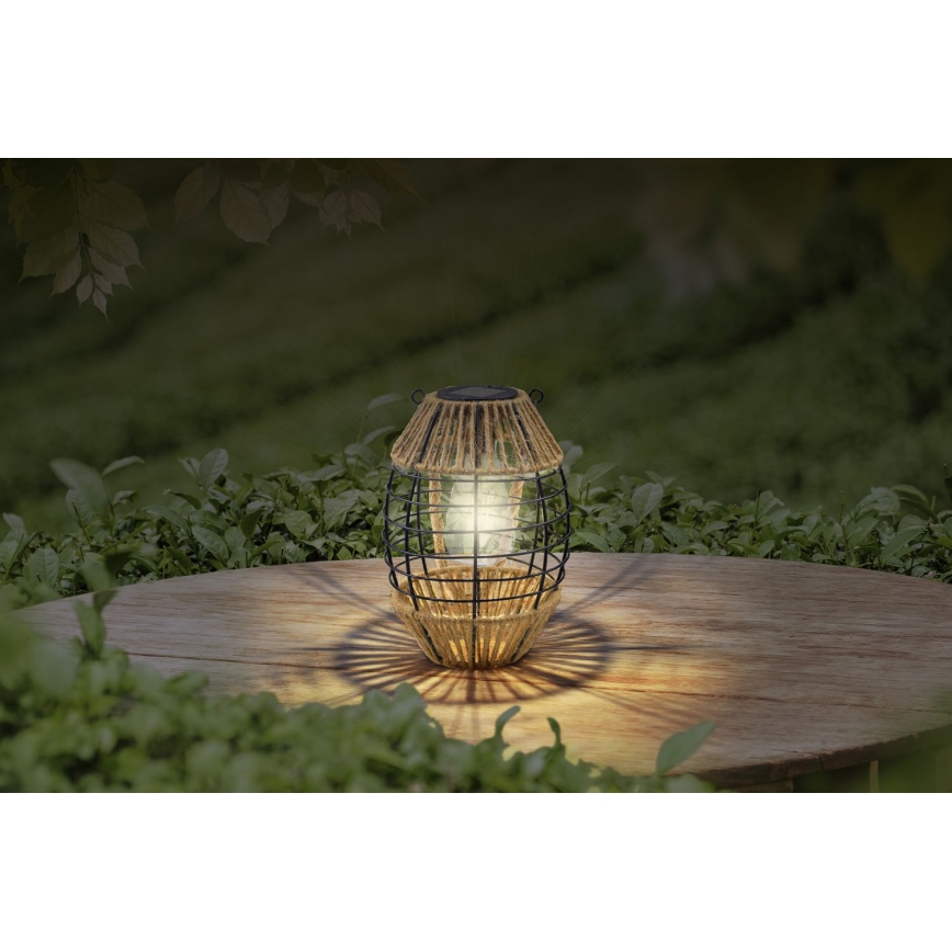 Globo - Iluminação solar LED LED/2W/3V IP44
