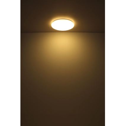Globo - Iluminação de teto LED LED/24W/230V diâmetro 49,5 cm branco
