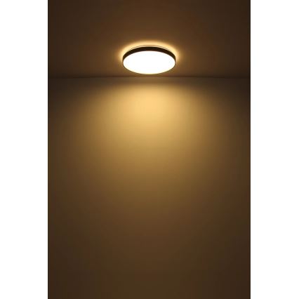 Globo - Iluminação de teto LED LED/24W/230V diâmetro 48 cm antracite