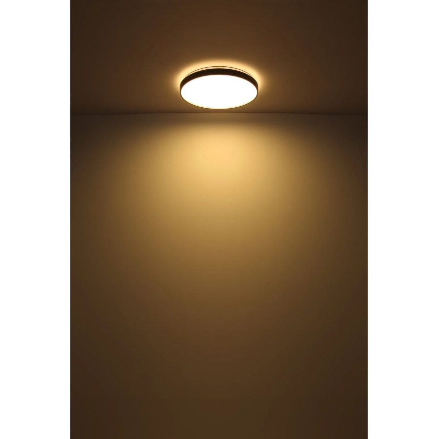 Globo - Iluminação de teto LED LED/24W/230V diâmetro 48 cm antracite