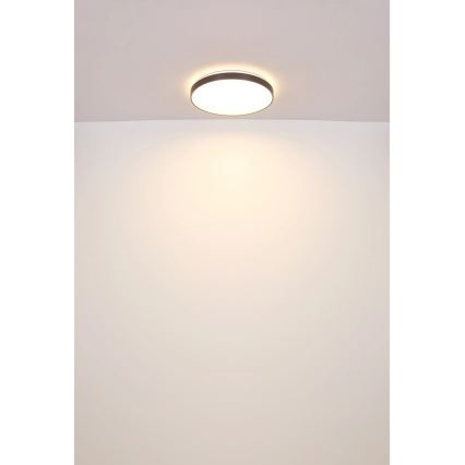 Globo - Iluminação de teto LED LED/24W/230V diâmetro 48 cm antracite