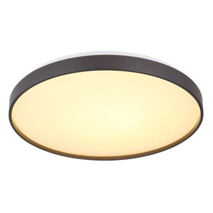Globo - Iluminação de teto LED LED/24W/230V diâmetro 48 cm antracite