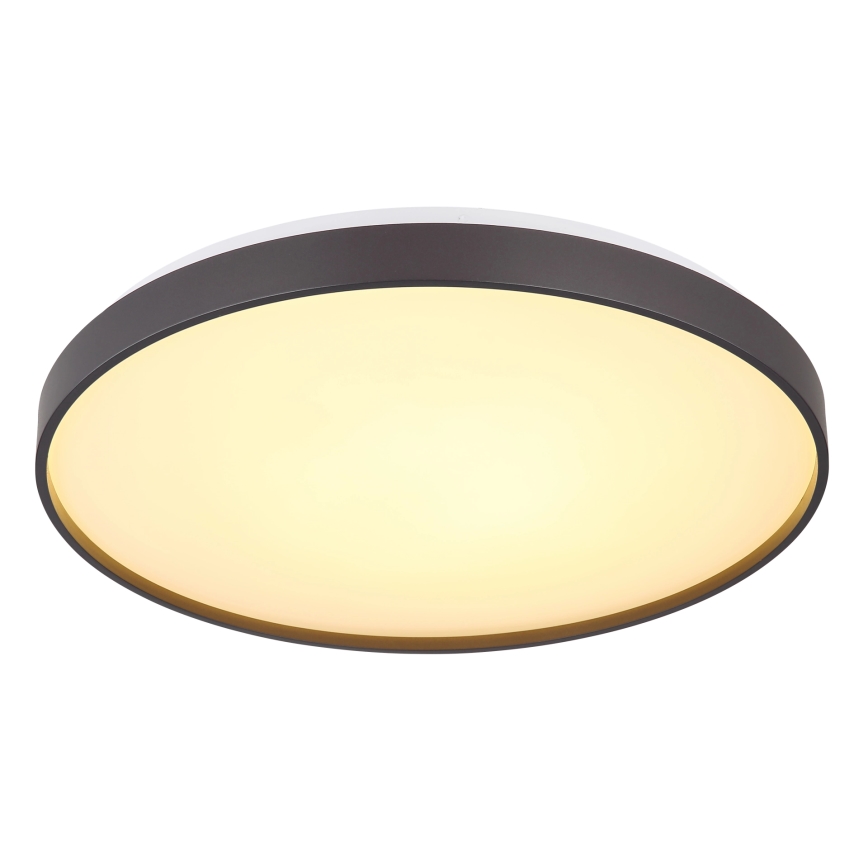 Globo - Iluminação de teto LED LED/24W/230V diâmetro 48 cm antracite