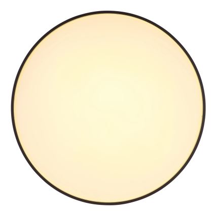 Globo - Iluminação de teto LED LED/24W/230V diâmetro 48 cm antracite