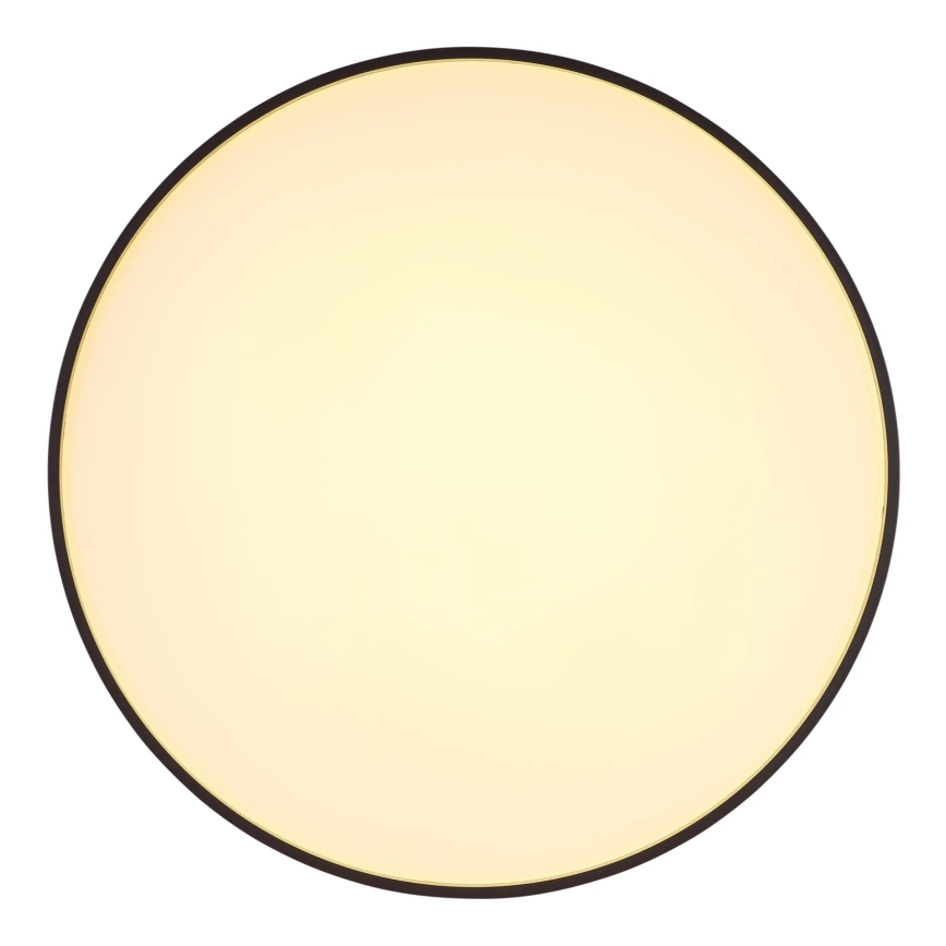 Globo - Iluminação de teto LED LED/24W/230V diâmetro 48 cm antracite