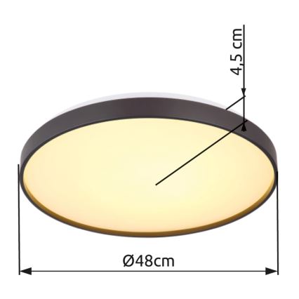 Globo - Iluminação de teto LED LED/24W/230V diâmetro 48 cm antracite