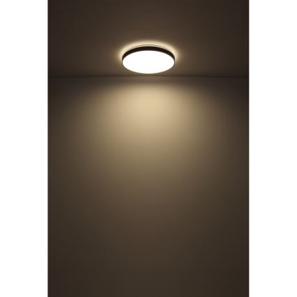 Globo - Iluminação de teto LED LED/24W/230V
