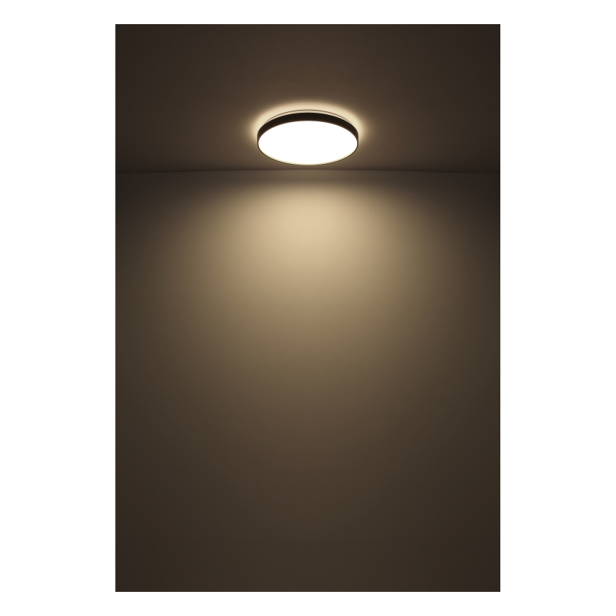 Globo - Iluminação de teto LED LED/24W/230V