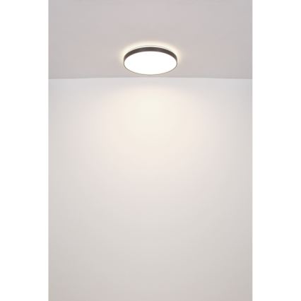Globo - Iluminação de teto LED LED/24W/230V