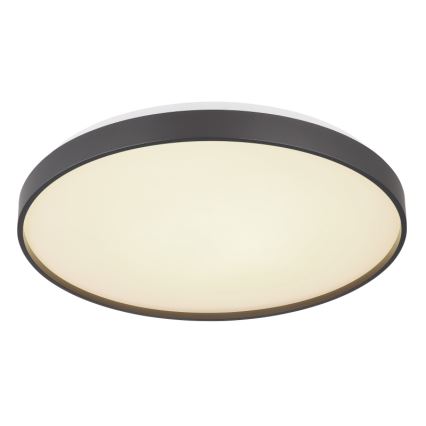 Globo - Iluminação de teto LED LED/24W/230V