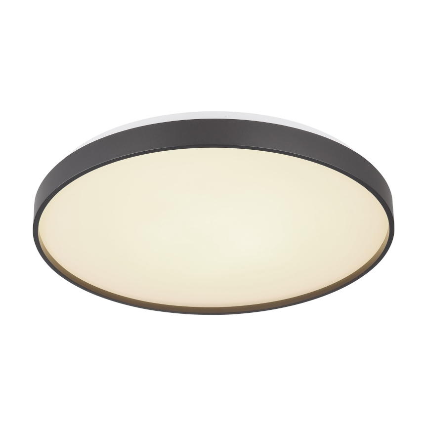 Globo - Iluminação de teto LED LED/24W/230V
