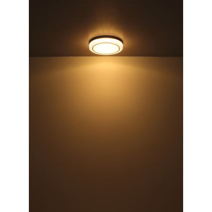 Globo - Iluminação de teto LED LED/24W/230V diâmetro 40 cm 3000K branco
