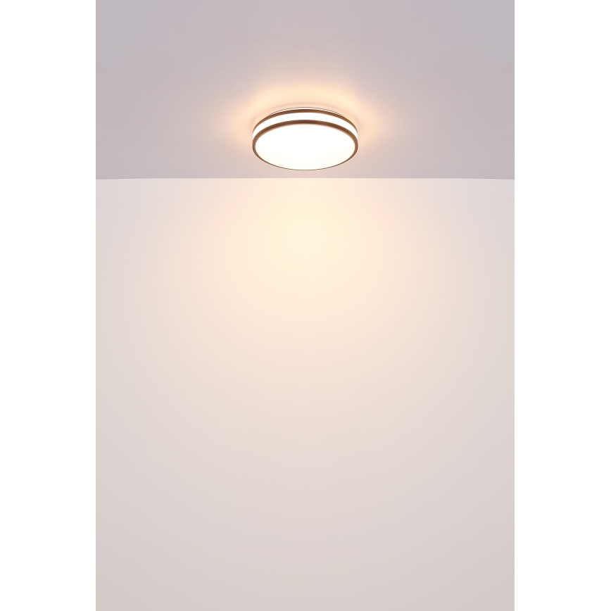 Globo - Iluminação de teto LED RGBW com regulação LED/18W/230V 2700-6000K + comando