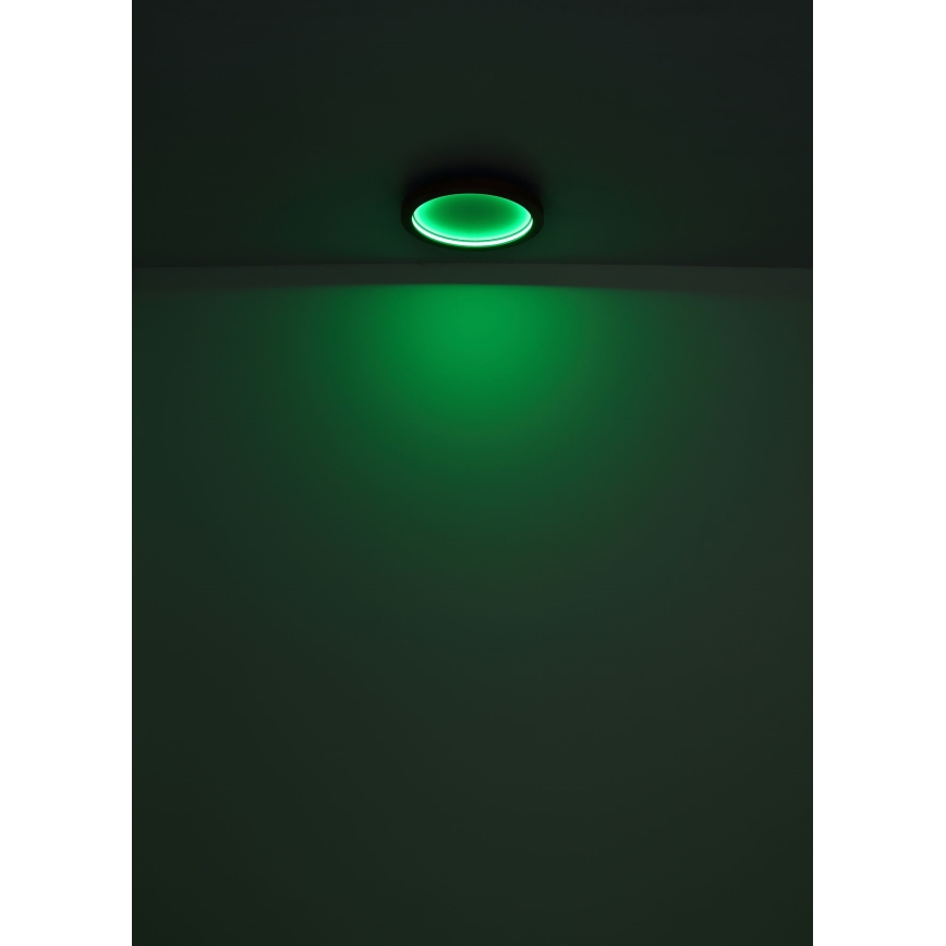 Globo - Iluminação de teto LED RGBW com regulação LED/24W/230V 2700-6000K + controlo remoto