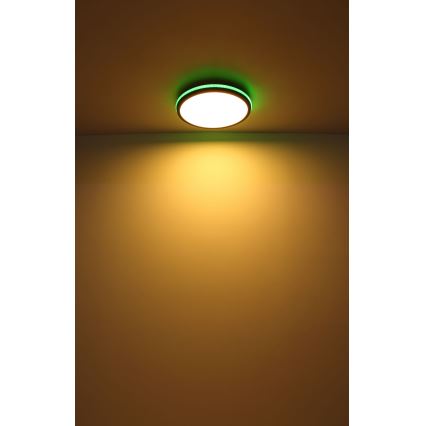 Globo - Iluminação de teto LED RGBW com regulação LED/40W/230V 2700-6500K + controlo remoto
