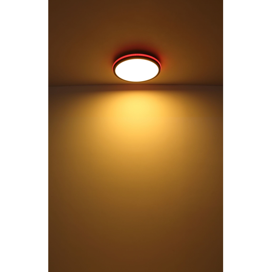 Globo - Iluminação de teto LED RGBW com regulação LED/40W/230V 2700-6500K + controlo remoto