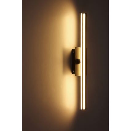 Globo - Iluminação de parede de casa de banho LED LED/18W/230V IP44