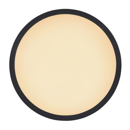 Globo - Iluminação de teto de casa de banho LED com regulação LED/24W/230V diâmetro 42 cm IP44 preto