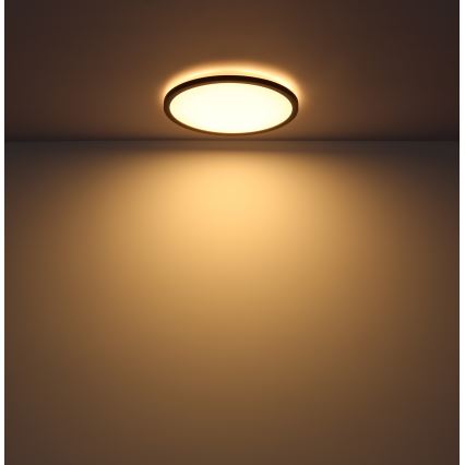 Globo - Iluminação de teto de casa de banho LED com regulação LED/24W/230V diâmetro 42 cm IP44 preto