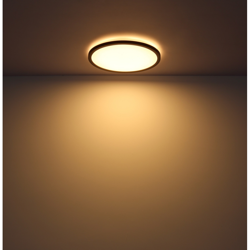 Globo - Iluminação de teto de casa de banho LED com regulação LED/24W/230V diâmetro 42 cm IP44 preto