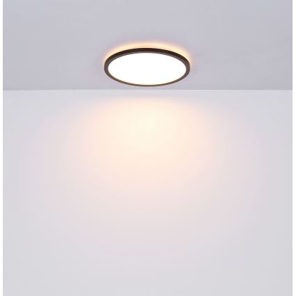 Globo - Iluminação de teto de casa de banho LED com regulação LED/24W/230V diâmetro 42 cm IP44 preto