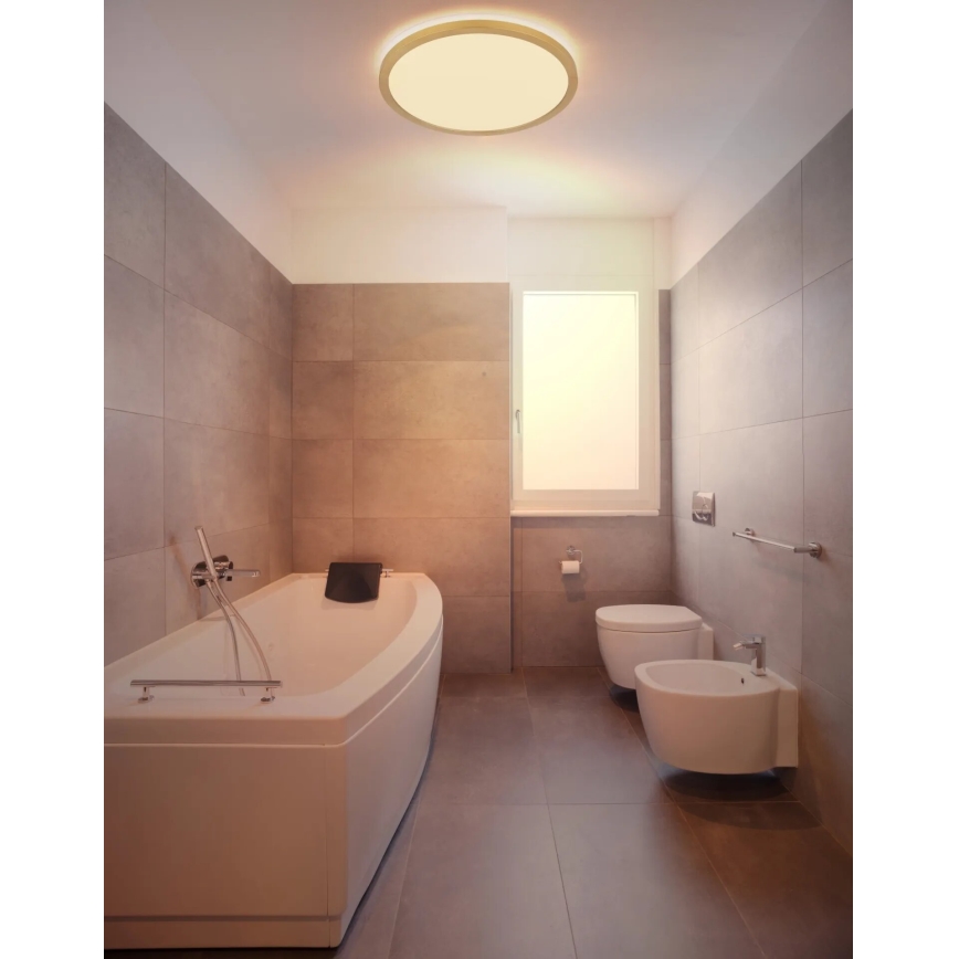 Globo - Iluminação de teto para casa de banho LED com regulação LED/24W/230V 3000K IP44 diâmetro 42 cm latão