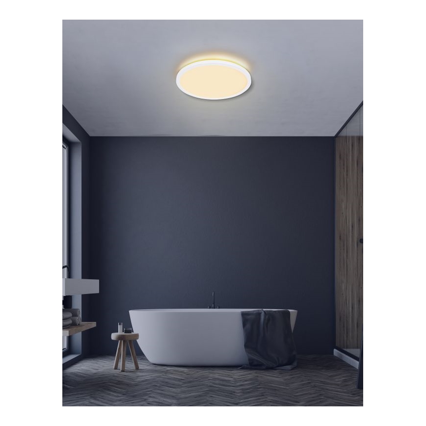 Globo - Iluminação de teto de casa de banho LED com regulação LED/24W/230V diâmetro 42 cm IP44 branco