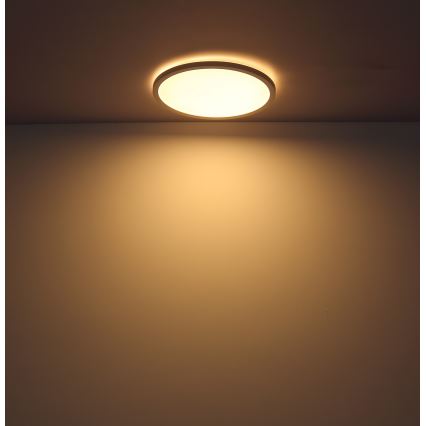 Globo - Iluminação de teto de casa de banho LED com regulação LED/24W/230V diâmetro 42 cm IP44 branco
