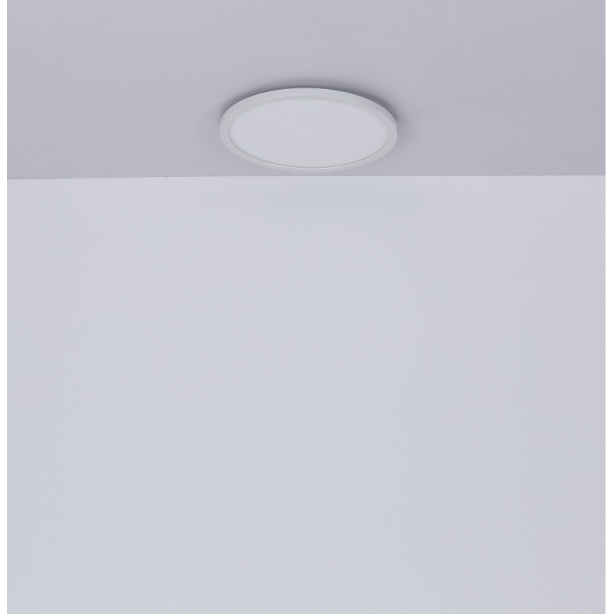 Globo - Iluminação de teto de casa de banho LED com regulação LED/24W/230V diâmetro 42 cm IP44 branco