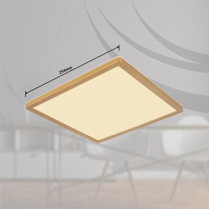 Globo - Iluminação de teto para casa de banho LED com regulação LED/18W/230V 3000K IP44 29,4x29,4 cm latão