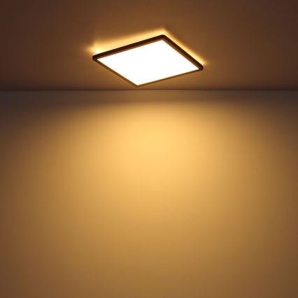 Globo - Iluminação de teto de casa de banho LED com regulação LED/24W/230V 42x42 cm IP44 preto