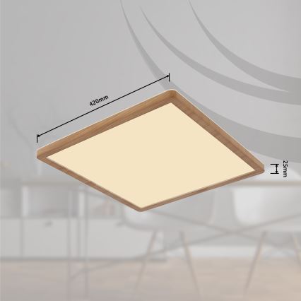 Globo - Iluminação de teto de casa de banho LED com regulação LED/24W/230V 42x42 cm IP44 castanho