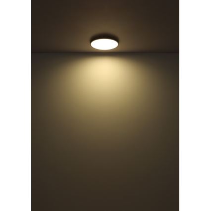 Globo - Iluminação de teto LED LED/32W/230V 4000K diâmetro 40 cm preto