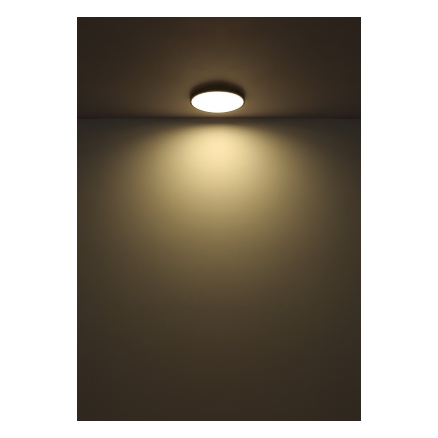 Globo - Iluminação de teto LED LED/32W/230V 4000K diâmetro 40 cm preto