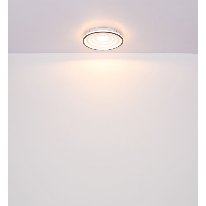 Globo - Iluminação de teto LED LED/24W/230V