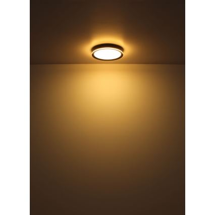 Globo - Iluminação de teto LED LED/39W/230V diâmetro 40 cm