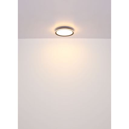 Globo - Iluminação de teto LED LED/39W/230V diâmetro 40 cm