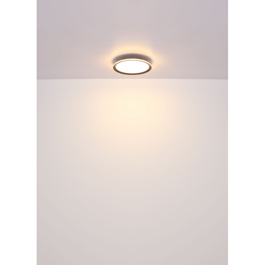 Globo - Iluminação de teto LED LED/39W/230V diâmetro 40 cm