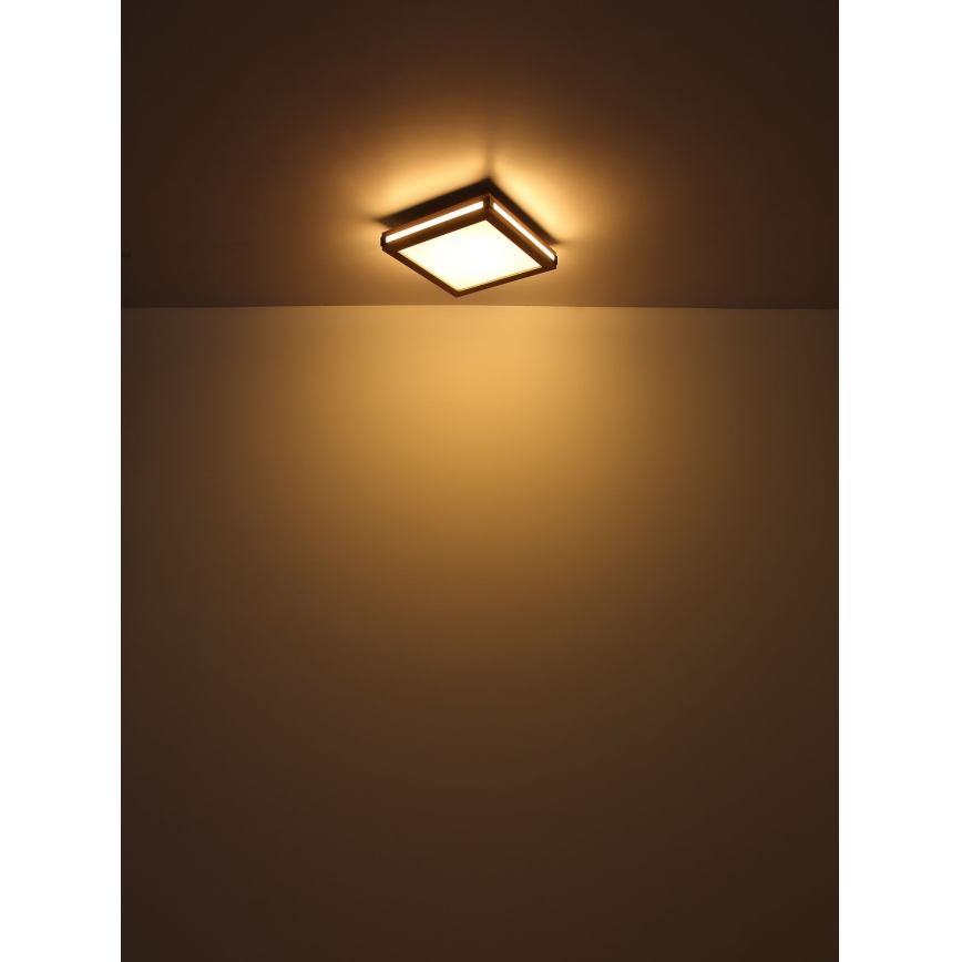 Globo - Iluminação de teto LED LED/12W/230V 30x30 cm