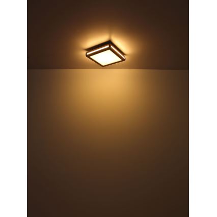 Globo - Iluminação de teto LED LED/24W/230V 45x45 cm