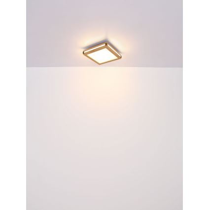 Globo - Iluminação de teto LED LED/24W/230V 45x45 cm