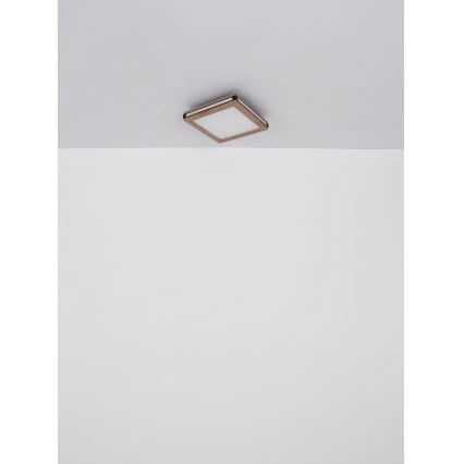 Globo - Iluminação de teto LED LED/24W/230V 45x45 cm