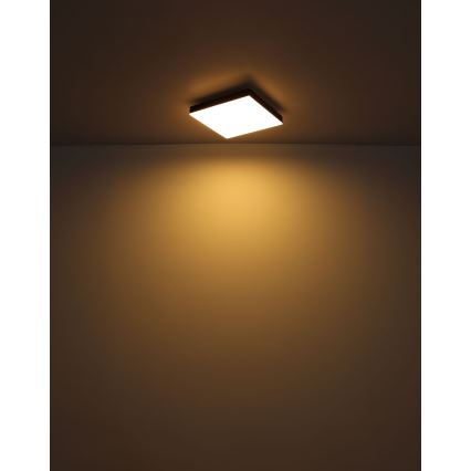 Globo - Iluminação de teto LED LED/18W/230V 30x30 cm preto