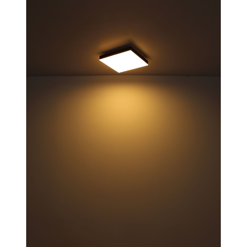 Globo - Iluminação de teto LED LED/18W/230V 30x30 cm preto