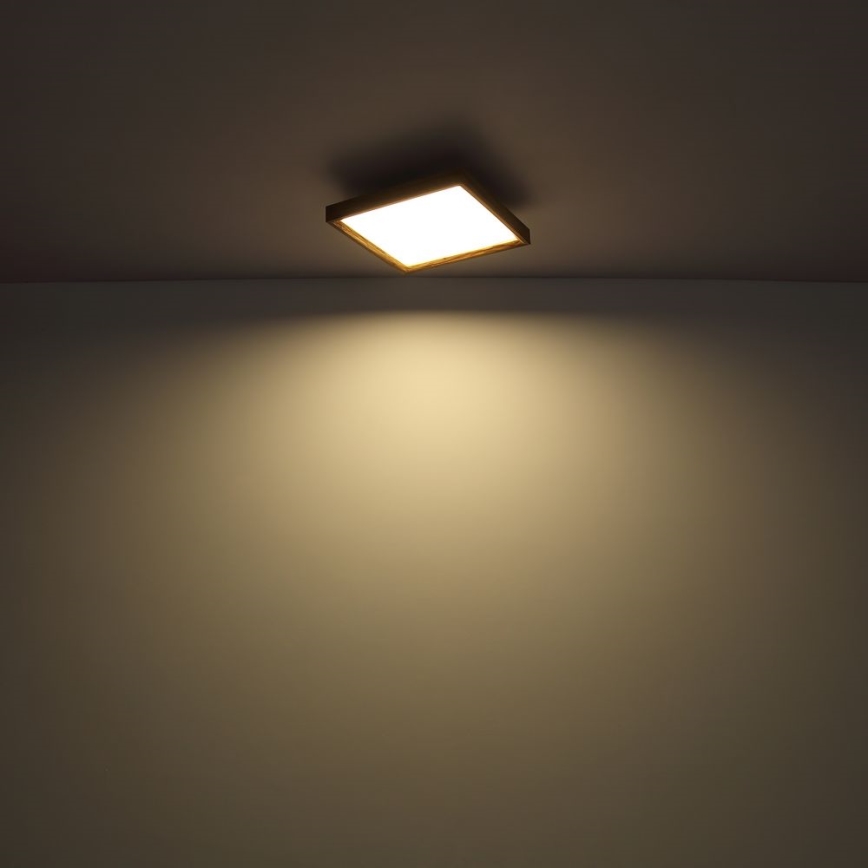 Globo - Iluminação de teto LED LED/24W/230V 45cm 2700/4500/6500K