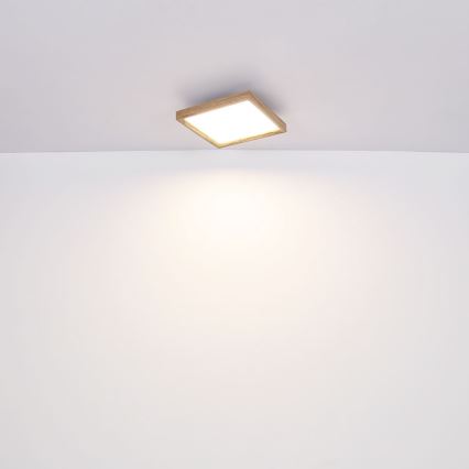 Globo - Iluminação de teto LED LED/24W/230V 45cm 2700/4500/6500K