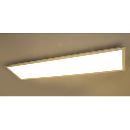 Globo - Painel montado à superfície LED LED/40W/230V
