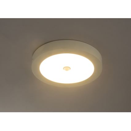 Globo - Luz de teto de exterior LED com sensor 1xLED/18W/230V IP44
