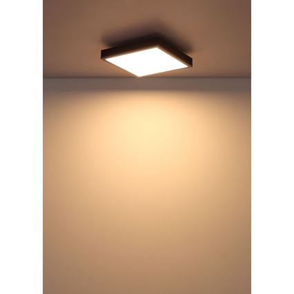 Globo - Iluminação de teto LED LED/12W/230V 3000K 30x30 cm